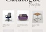 design a professional brochure and business catalog